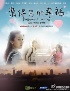 布埃纳维斯塔大学硕士offer